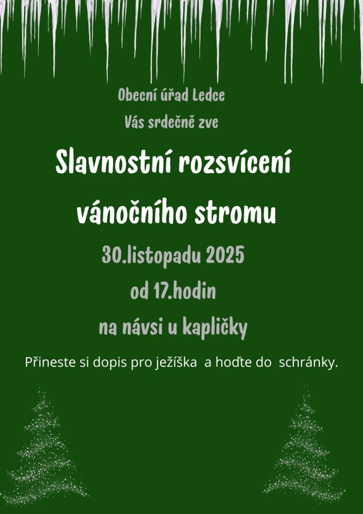 Rozsvícení vánočního stromu.