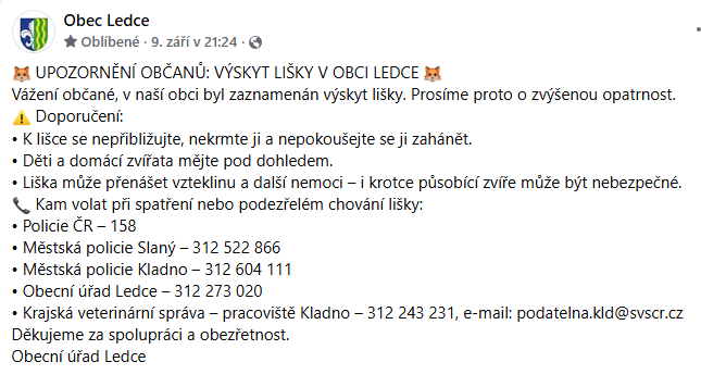 Liška vo obci.